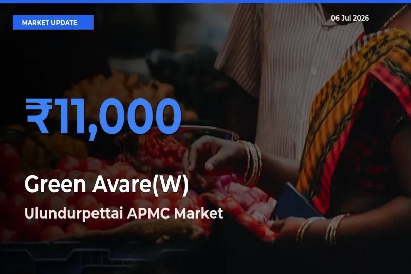 Ulundurpettai APMC Leads as Top Mandi for Green Avare(W) Prices