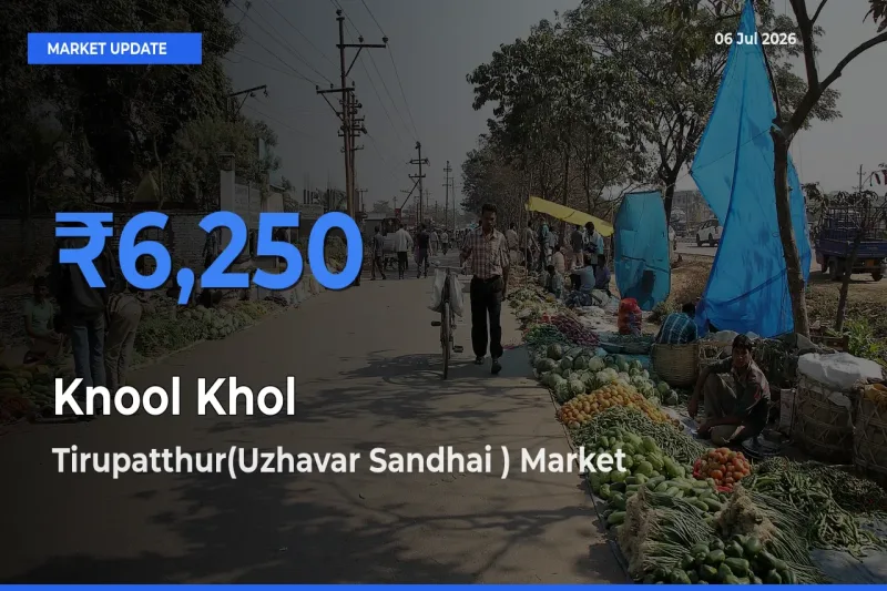 Top Performer! Tirupatthur(Uzhavar Sandhai ) Offers Best Knool Khol Price Today