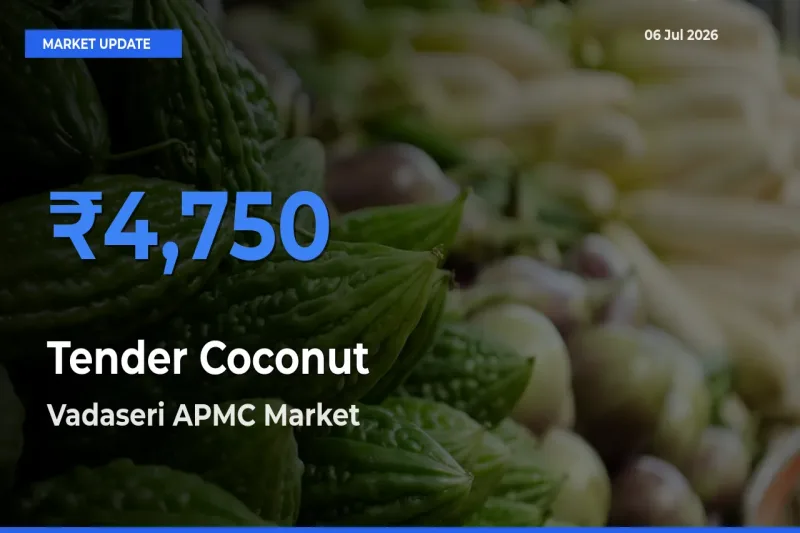 Vadaseri APMC Tops Tender Coconut Rates – July 06 Market Update