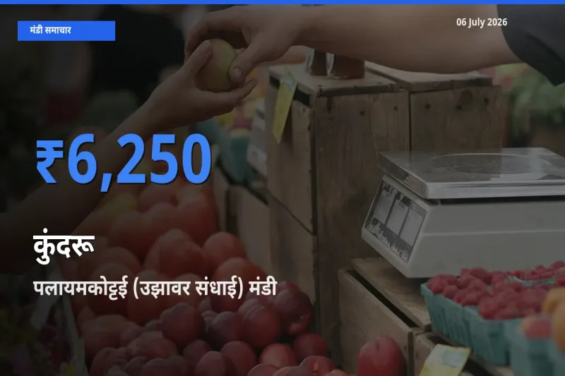 06 July अपडेट: कुंदरू के सबसे ऊँचे दाम पलायमकोट्टई (उझावर संधाई) मंडी में