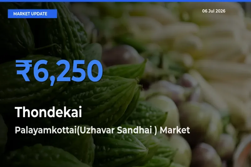 Thondekai Mandi Rate Today: Palayamkottai(Uzhavar Sandhai ) Tops the List