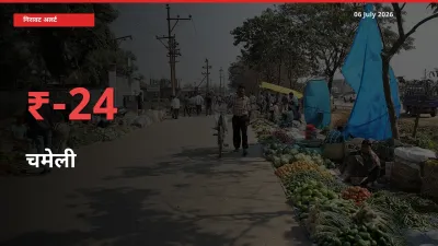 स्थानीय मंडी में चमेली के दाम अचानक 24.46% गिरे, किसानों की चिंता बढ़ी