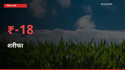 18.48% की गिरावट! मंडी में शरीफा के दाम अचानक टूटे