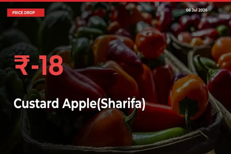 Sharp Fall! Custard Apple(Sharifa) Prices Plunge 18.48% in a Day at Key Mandis