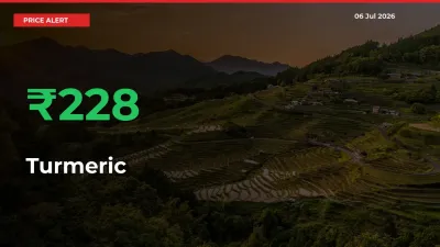 This Mandi Records 227.59% Jump in Turmeric Prices
