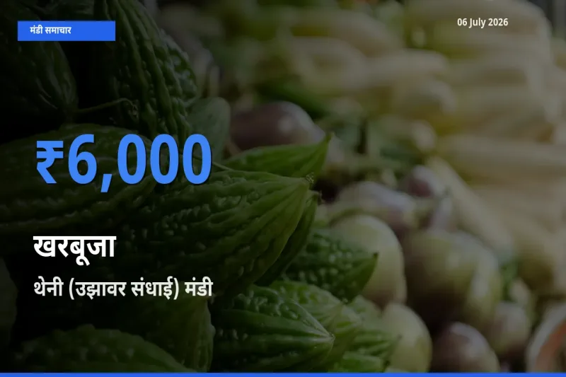 थेनी (उझावर संधाई) मंडी में आज खरबूजा के सबसे ऊँचे दाम दर्ज
