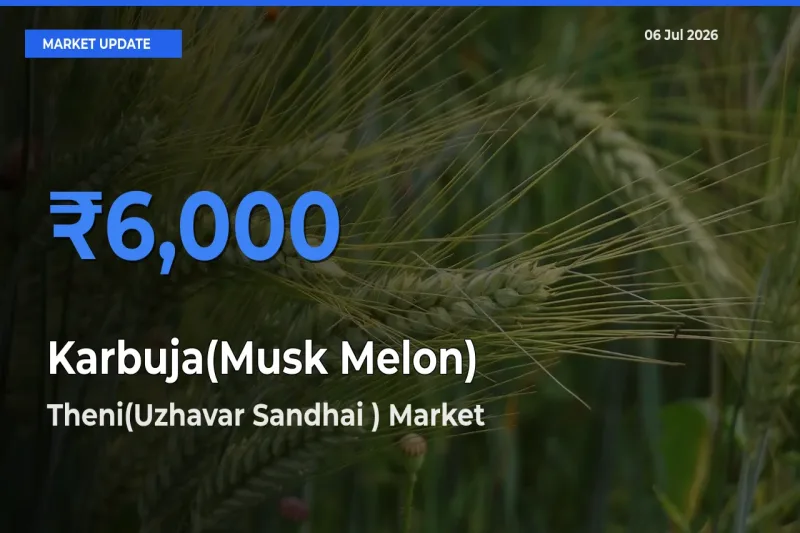 Theni(Uzhavar Sandhai ) Tops Karbuja(Musk Melon) Mandi Rates Today