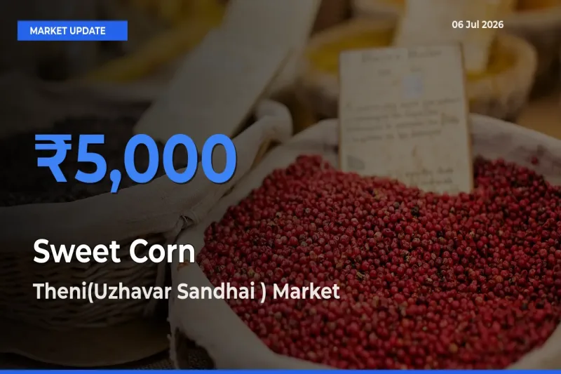 Theni(Uzhavar Sandhai ) Tops Sweet Corn  Rates – July 06 Market Update