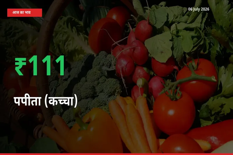 पपीता (कच्चा) 111.43% उछला, मंडी