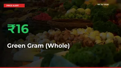 Green Gram (Whole) Rises 15.72% at Mandis