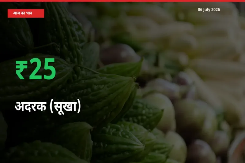 अदरक (सूखा) 25.27% उछला, मंडी