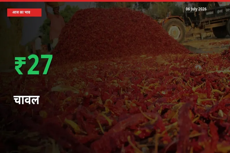 चावल 27.07% उछला, मंडी