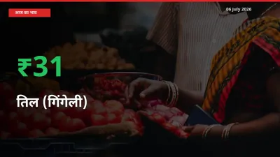 अचानक तेजी! मंडी में तिल (गिंगेली) के दाम 31.24% चढ़े