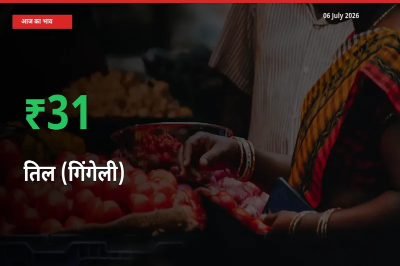 अचानक तेजी! मंडी में तिल (गिंगेली) के दाम 31.24% चढ़े