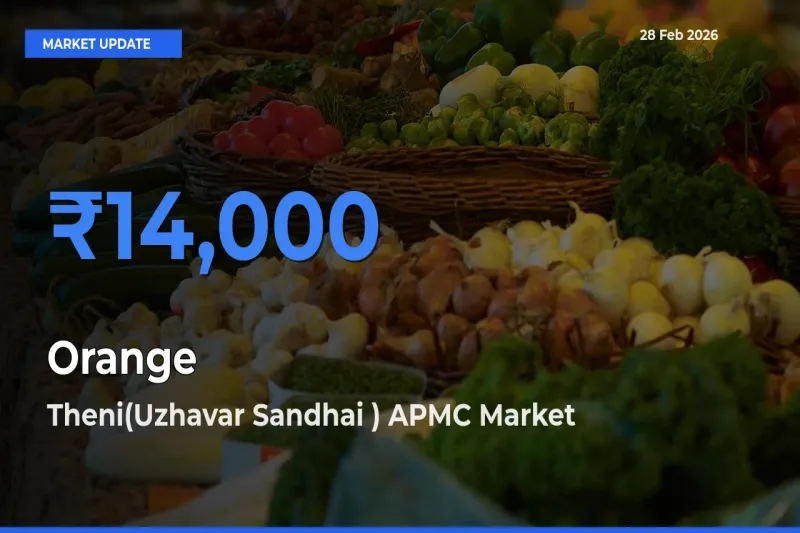 Theni(Uzhavar Sandhai ) APMC Emerges as Top Mandi for Orange Prices Today