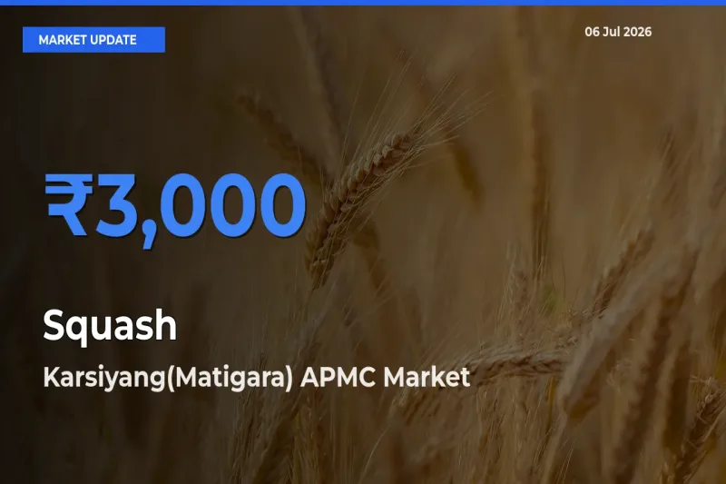 Karsiyang(Matigara) APMC Emerges as Top Mandi for Squash Prices Today