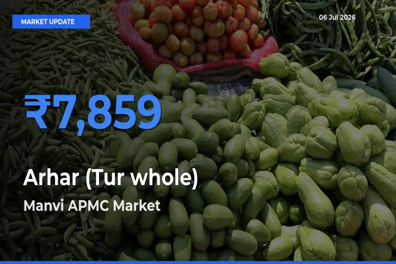 Farmers Prefer Manvi APMC as Arhar (Tur whole) Hits Highest Rate