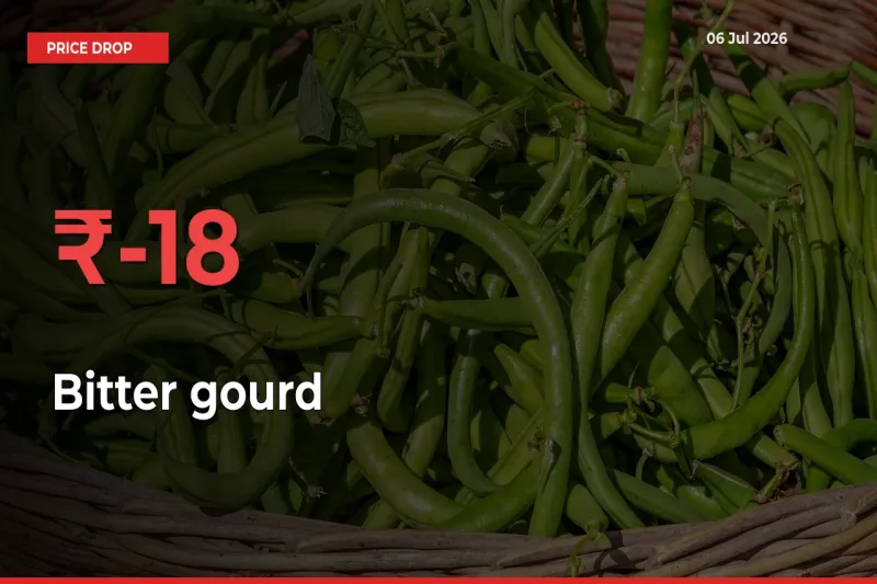 Bitter gourd Falls 17.7% at Mandis