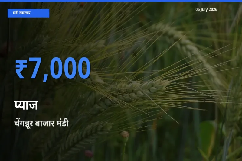 टॉप मंडी बना चेंगन्नूर बाजार! प्याज के सबसे ऊँचे दाम यहीं दर्ज