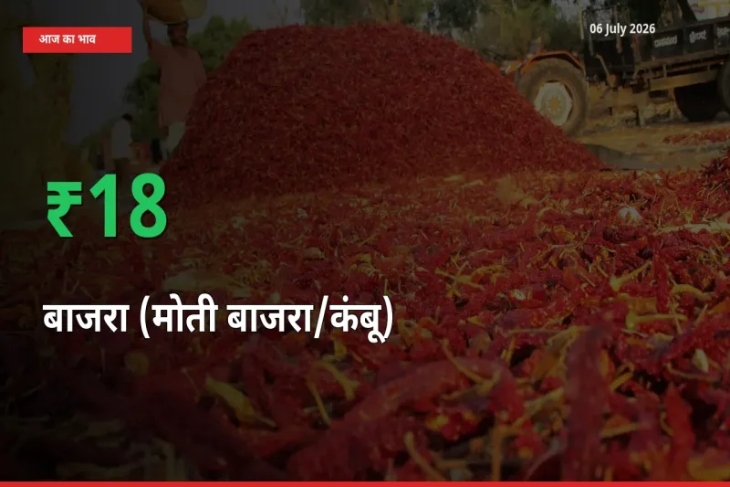 स्थानीय मंडी में बाजरा (मोती बाजरा/कंबू) के दाम अचानक 18.18% उछले, किसान सतर्क