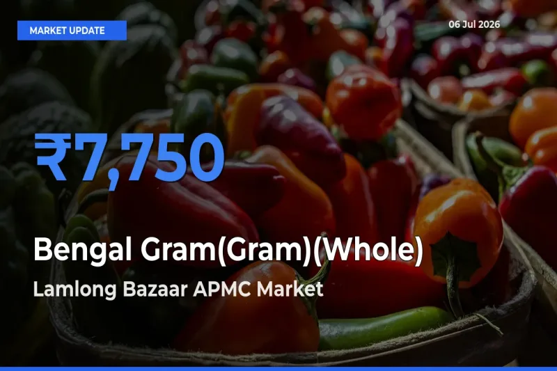 Lamlong Bazaar APMC Records Highest ₹7,750 Rate for Bengal Gram(Gram)(Whole)