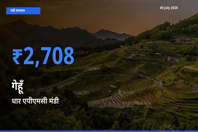 06 July अपडेट: गेहूँ के सबसे ऊँचे दाम धार एपीएमसी मंडी में