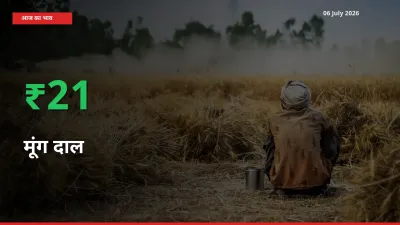 किसानों के लिए खुशखबरी! स्थानीय मंडी में मूंग दाल 21.17% उछला