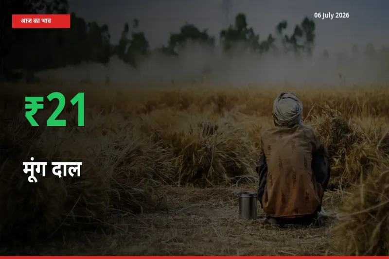 किसानों के लिए खुशखबरी! स्थानीय मंडी में मूंग दाल 21.17% उछला
