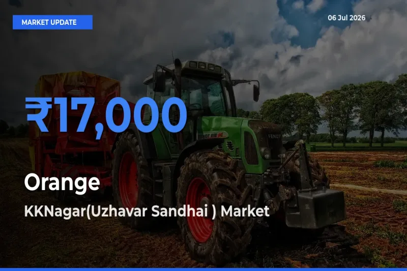KKNagar(Uzhavar Sandhai ) Tops Orange Mandi Rates Today