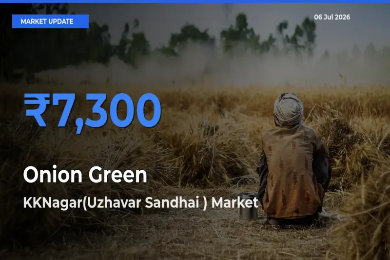 Farmers Prefer KKNagar(Uzhavar Sandhai ) as Onion Green Hits Highest Rate