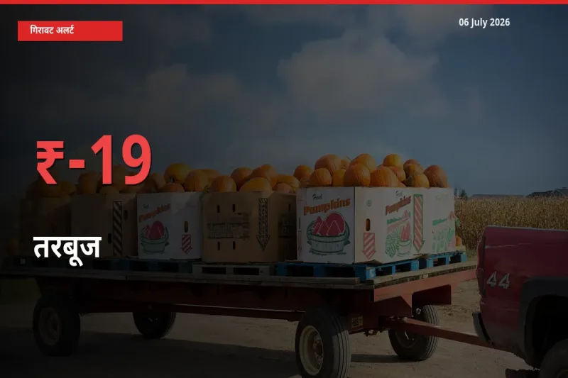 आज का मंडी भाव: तरबूज के दाम मंडी में 18.68% नीचे