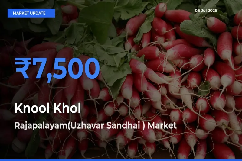 Rajapalayam(Uzhavar Sandhai ) Offers ₹7,500 – Highest Knool Khol Rate Today