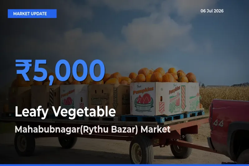 Mahabubnagar(Rythu Bazar) Tops Leafy Vegetable Mandi Rates Today