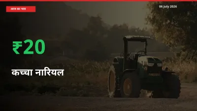 कच्चा नारियल 20.49% उछला, मंडी