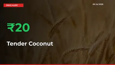 Sudden 20.49% Rally in Tender Coconut Prices Across Mandis