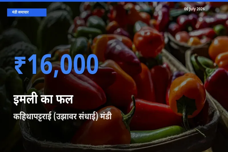 आज इमली का फल के सबसे ज़्यादा दाम कहिथापट्टराई (उझावर संधाई) मंडी में दर्ज