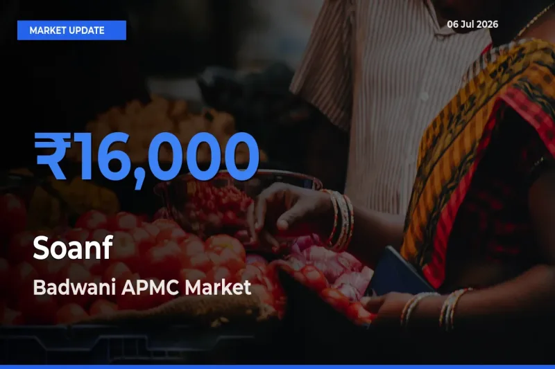 Badwani APMC Emerges as Top Mandi for Soanf Prices Today