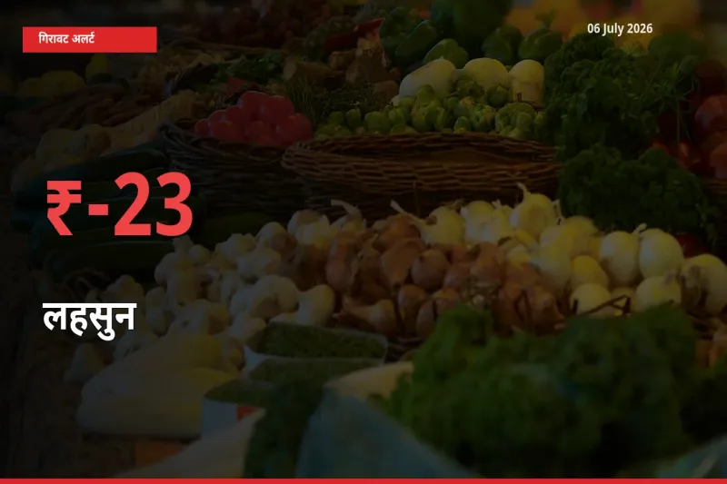 06 July अपडेट: लहसुन के दाम मंडी में 23.33% गिरे