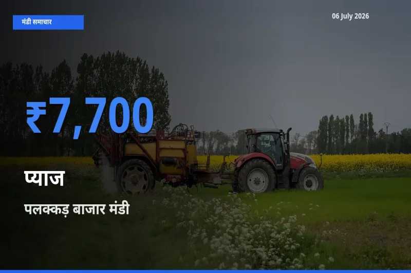 आज प्याज के सबसे ज़्यादा दाम पलक्कड़ बाजार मंडी में दर्ज