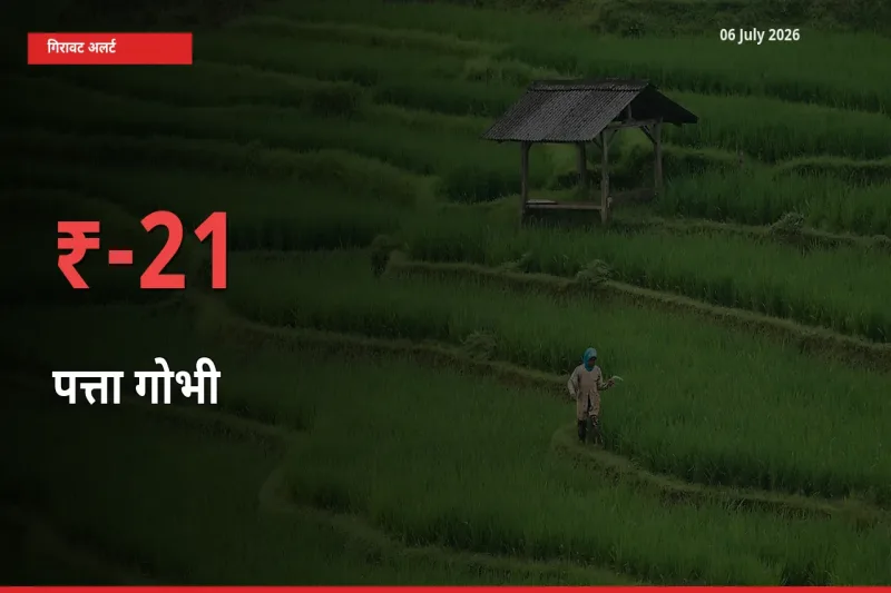 पत्ता गोभी के दाम प्रमुख मंडी में 21.22% गिरे, 24 घंटे में बड़ा बदलाव