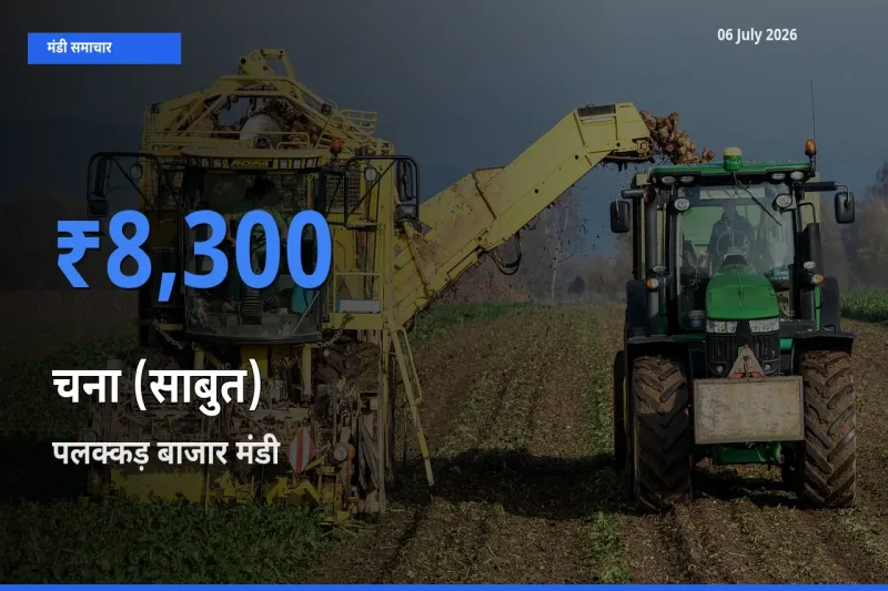 पलक्कड़ बाजार मंडी में आज चना (साबुत) के सबसे ऊँचे दाम दर्ज