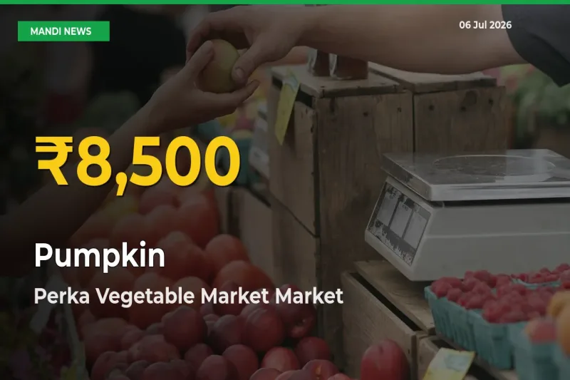 Perka Vegetable Market Leads as Pumpkin Hits Highest Rate – July 06 Update