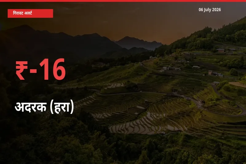 किसानों की चिंता बढ़ी! स्थानीय मंडी में अदरक (हरा) 16.05% गिरा