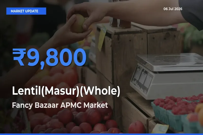 Fancy Bazaar APMC Tops Lentil(Masur)(Whole) Rates – July 06 Market Update