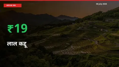 किसानों के लिए खुशखबरी! स्थानीय मंडी में लाल कद्दू 19.32% उछला