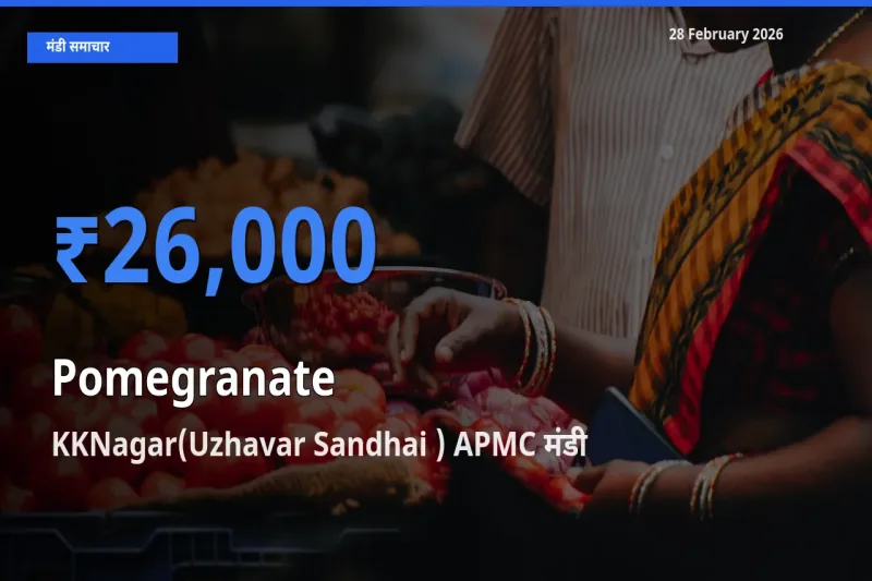 KKNagar(Uzhavar Sandhai ) APMC में Pomegranate का आज सबसे ऊँचा भाव
