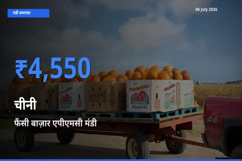 बाज़ार संकेत: फैंसी बाज़ार एपीएमसी बना चीनी के लिए आज की टॉप मंडी