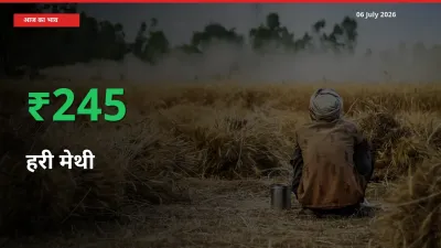 तेज़ तेजी! मंडी में हरी मेथी के दाम 245.21% चढ़े