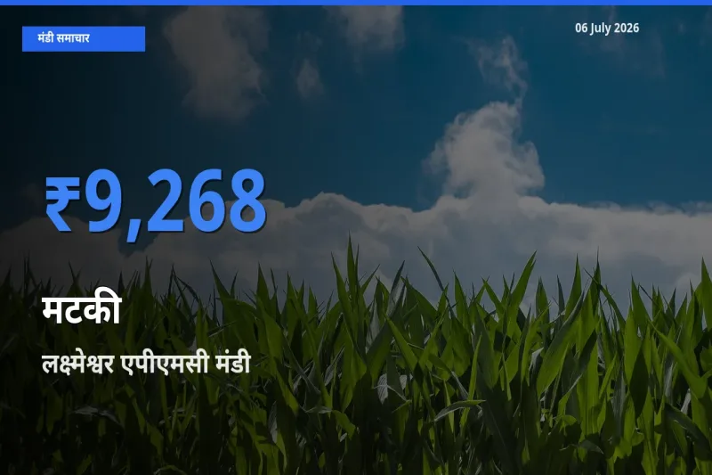 किसानों की पसंद बना लक्ष्मेश्वर एपीएमसी, मटकी के सबसे अच्छे दाम