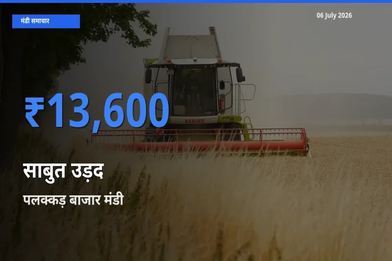 किसानों की पसंद बना पलक्कड़ बाजार, साबुत उड़द के सबसे अच्छे दाम